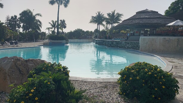 A swimming pool with lounge chairs and palm trees. - Royal Villa Spacious 4-bedroom house in tranquil Puerto Plata. January 22-28th (Puerto Plata)