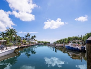 A marina with boats docked, a clear sky, and palm trees.