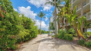 A pathway leading to a hotel with lush greenery and palm trees.
