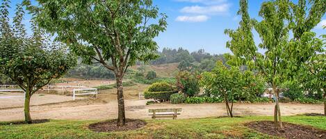 Un parque con árboles, un banco y una zona delimitada por una cerca.