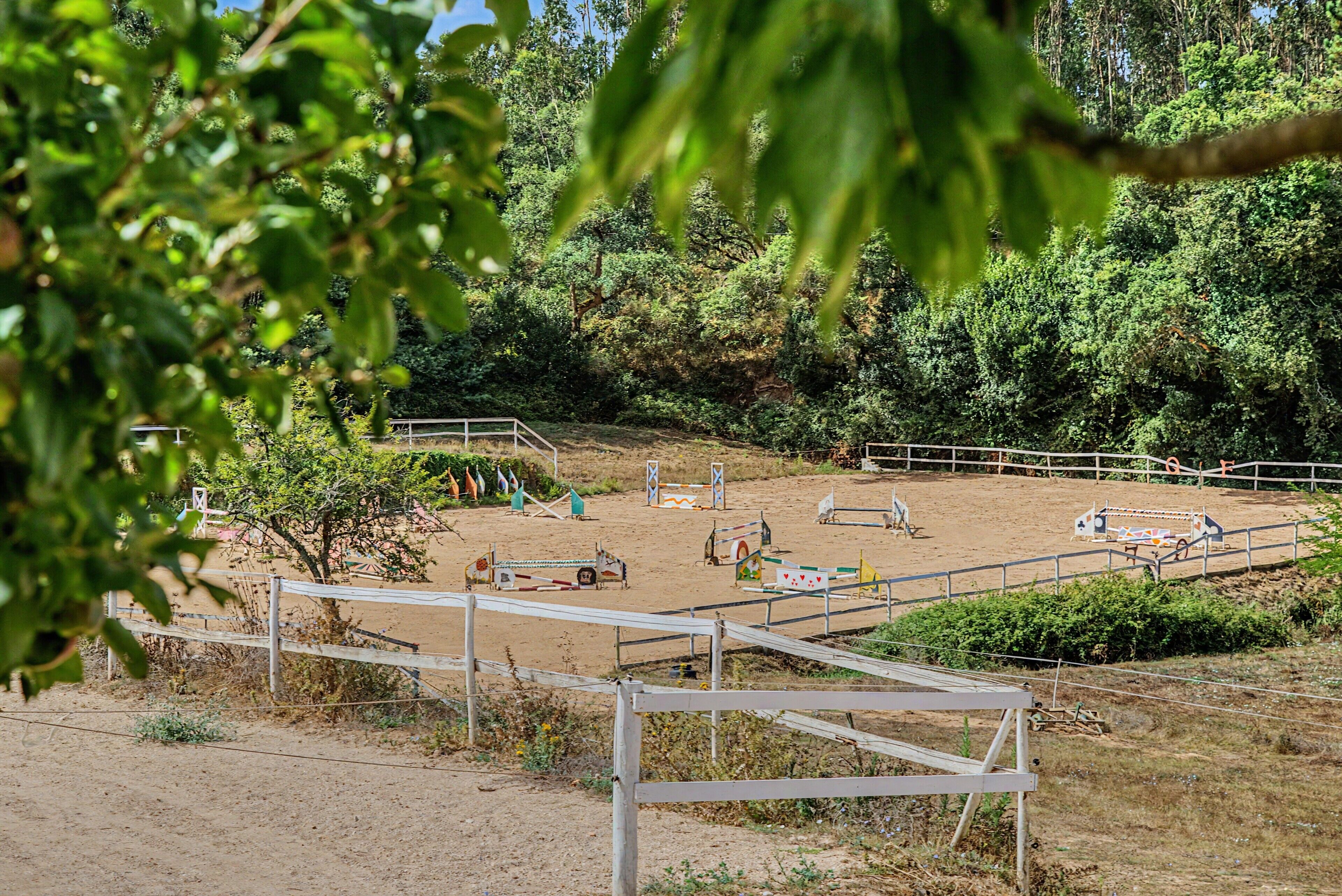 Cancha deportiva
