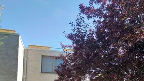 Un bâtiment moderne avec une entrée en verre, une allée gravillonnée et un arbre aux feuilles rouges.