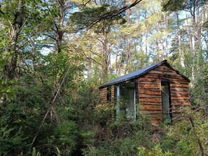 Eine rustikale Holzhütte, umgeben von dichtem Wald.