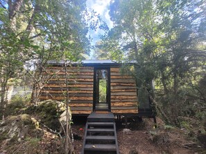 Une cabane en bois avec une échelle menant à une porte, entourée d’une forêt dense.