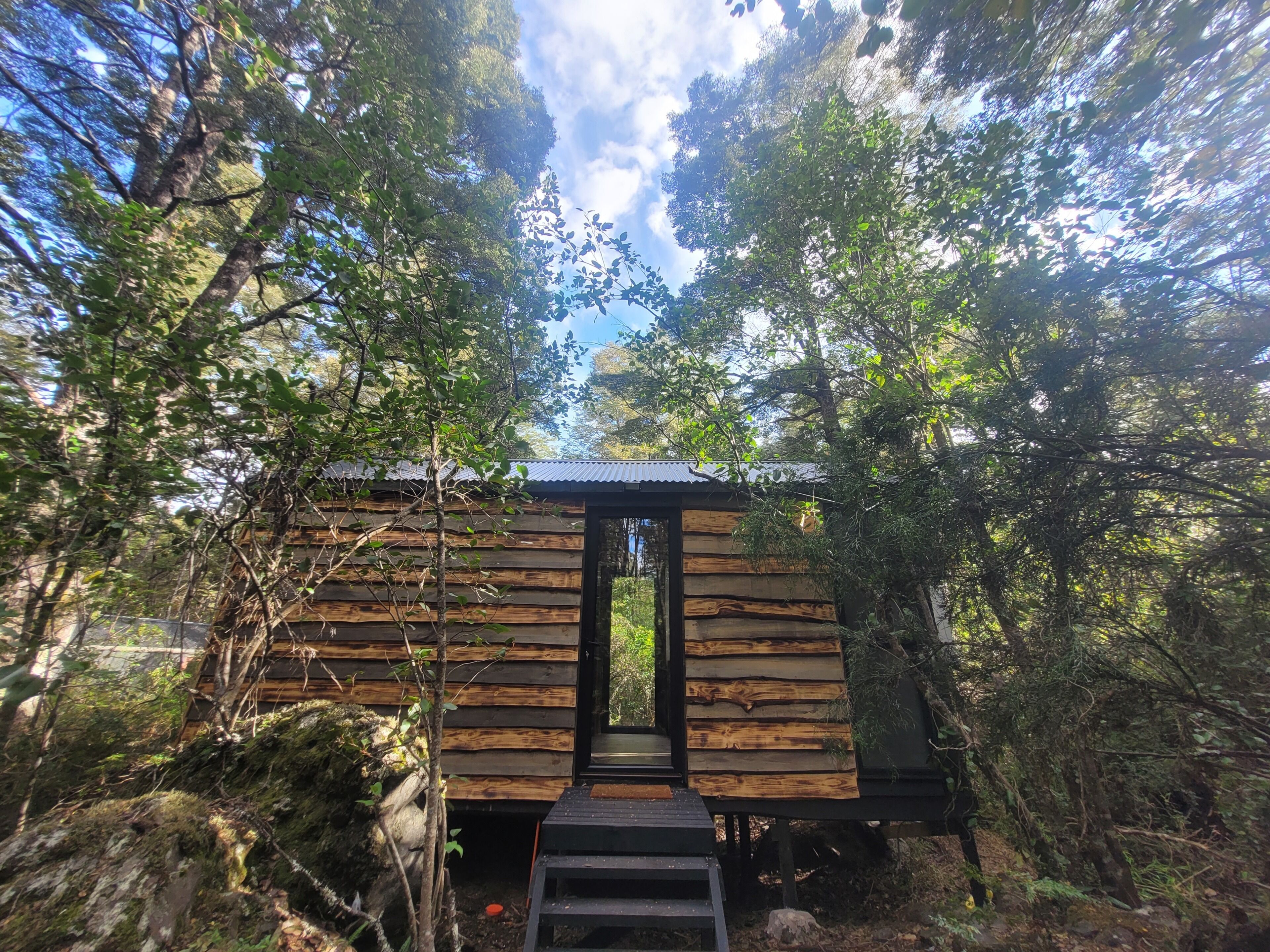 A wooden cabin with a metal roof, surrounded by dense forest.