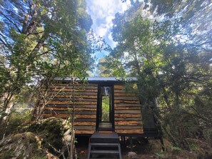 Uma cabana de madeira com telhado de metal, rodeada por uma floresta densa.
