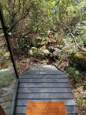 Eine Holztreppe führt in ein bewaldetes Gebiet mit moosbedeckten Felsen und dichtem Grün.