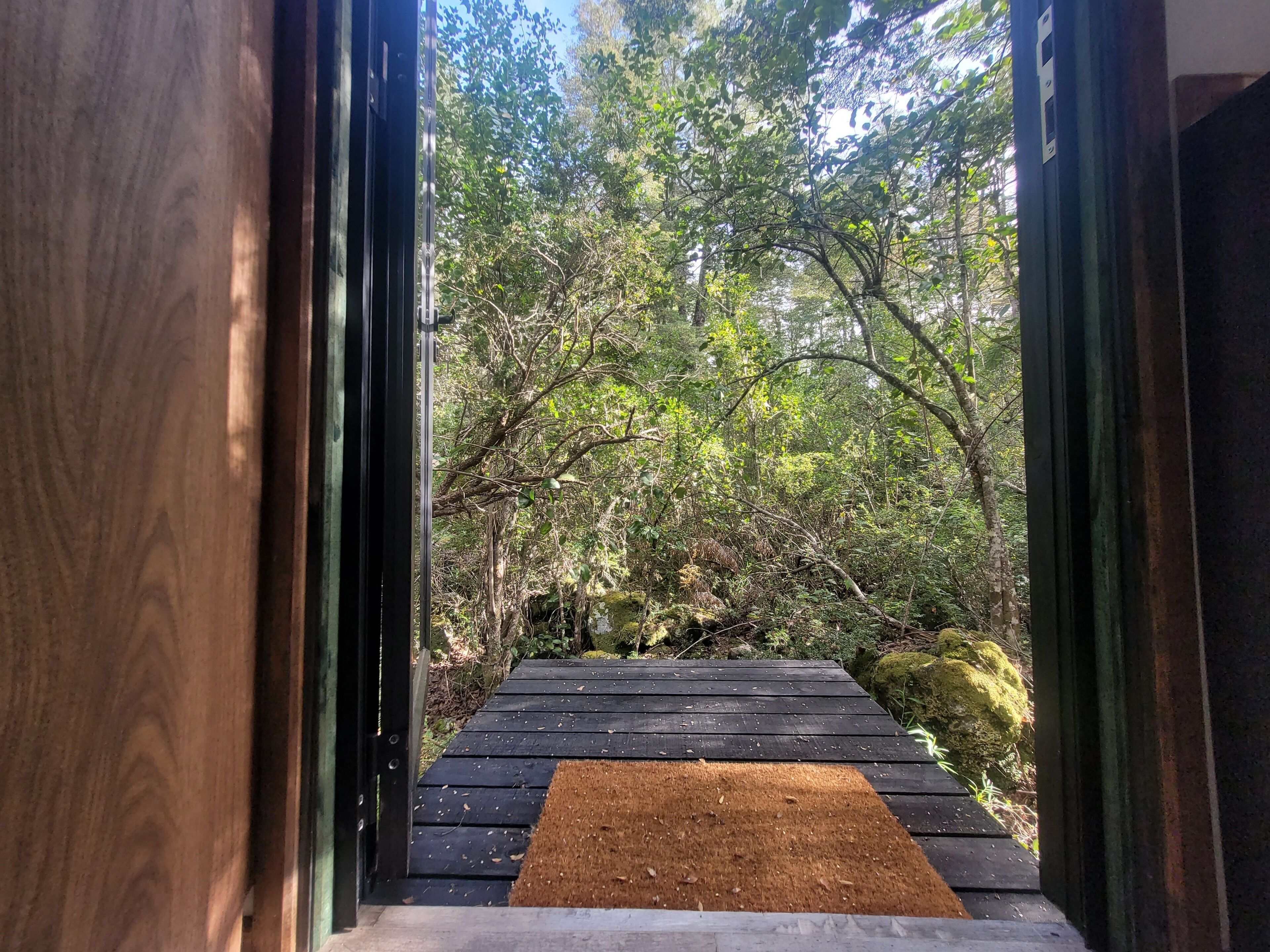 A wooden deck leading to a forested area.