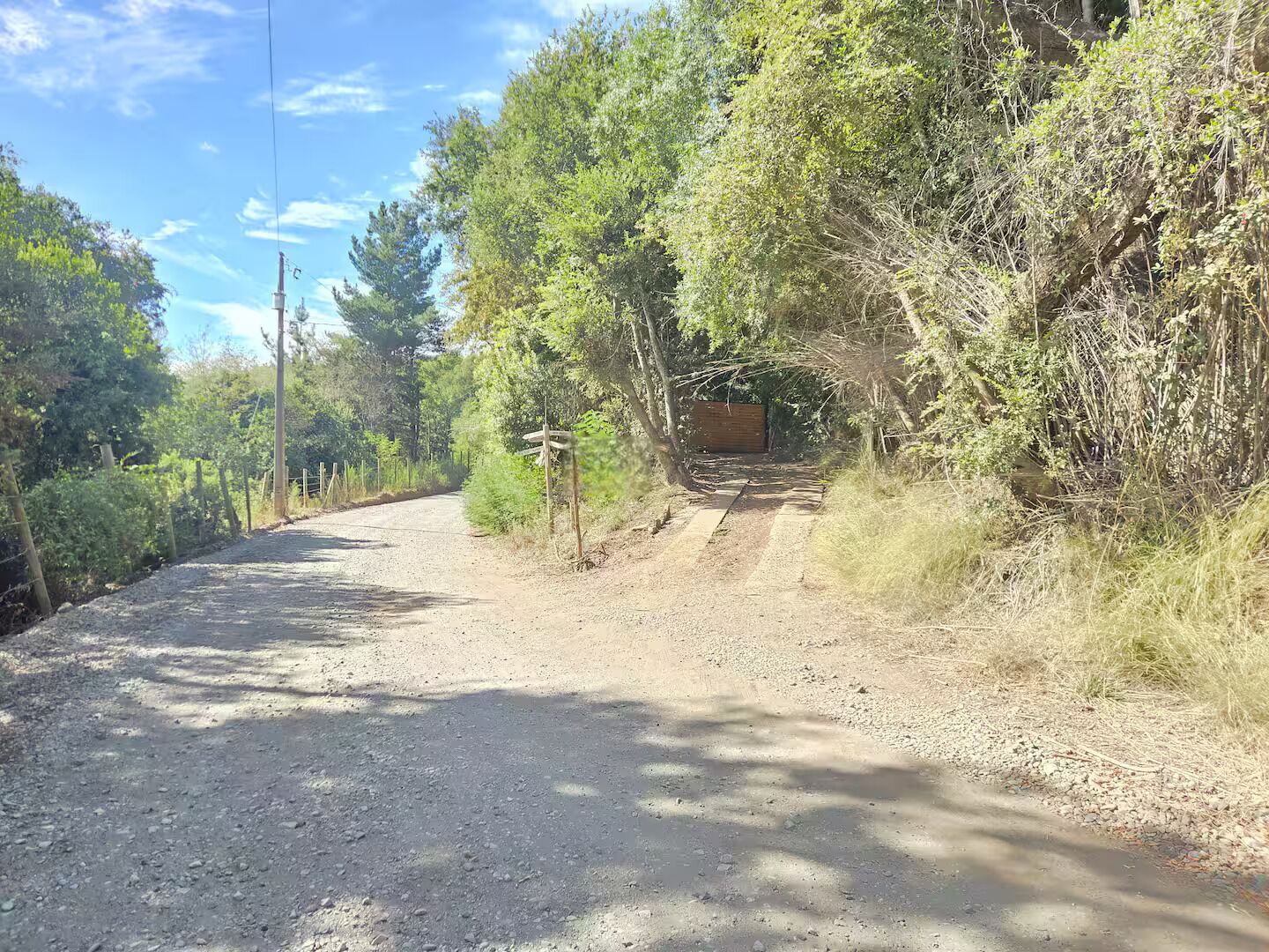 Un camino rural de tierra bordeado por vegetación densa y una valla de madera.