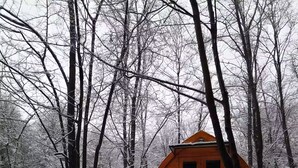 Une cabane en bois sur pilotis, située dans une forêt enneigée.