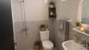Ein Badezimmer mit Toilette, Bidet, Waschbecken und Dusche. Zwei Teppiche liegen auf dem Boden, ein Ablagefach mit Pflanzen und ein Spiegel über dem Waschbecken.