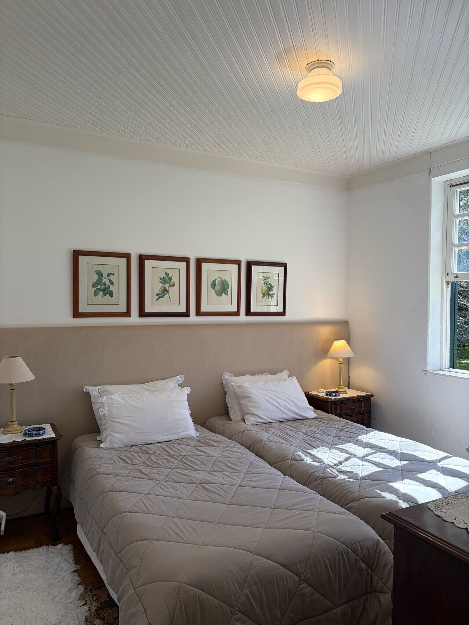 Quarto com duas camas, uma janela e impressões emolduradas de plantas na parede.