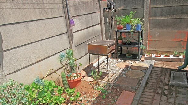 Un jardín con diversas plantas, una parrilla y un estante metálico con plantas en macetas.