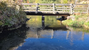 A wooden bridge over a calm water body with surrounding greenery.