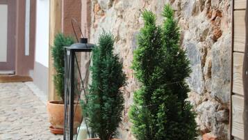 Un mur de pierre agrémenté de plantes en pot et une porte en bois.