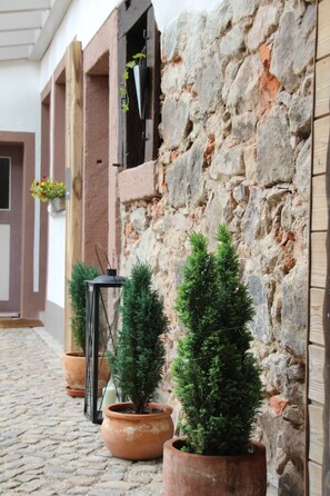 Un muro de piedra con plantas en macetas y una puerta de madera.