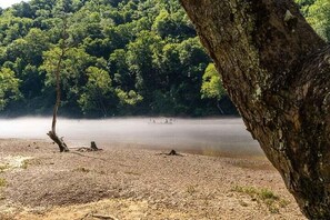 Eine naturbelassene Landschaft mit einem See, Bäumen und einer felsigen Uferlinie.