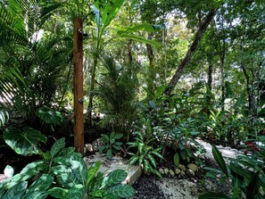 Ein üppiger Garten mit verschiedenen tropischen Pflanzen, einem Holzpfosten und einem Steinweg.