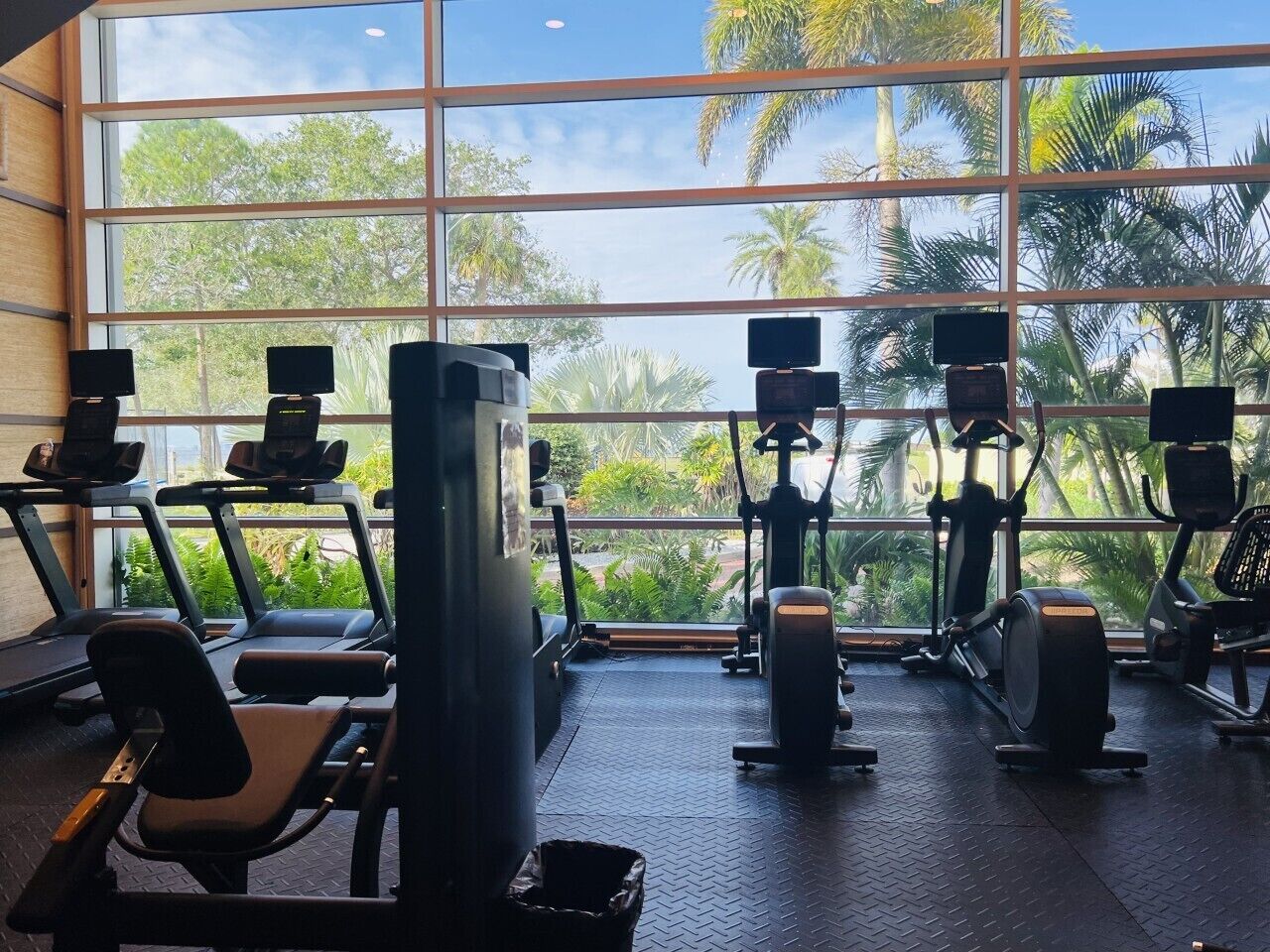 Un gimnasio con diferentes máquinas de ejercicio, amplias ventanas y vistas a palmeras.