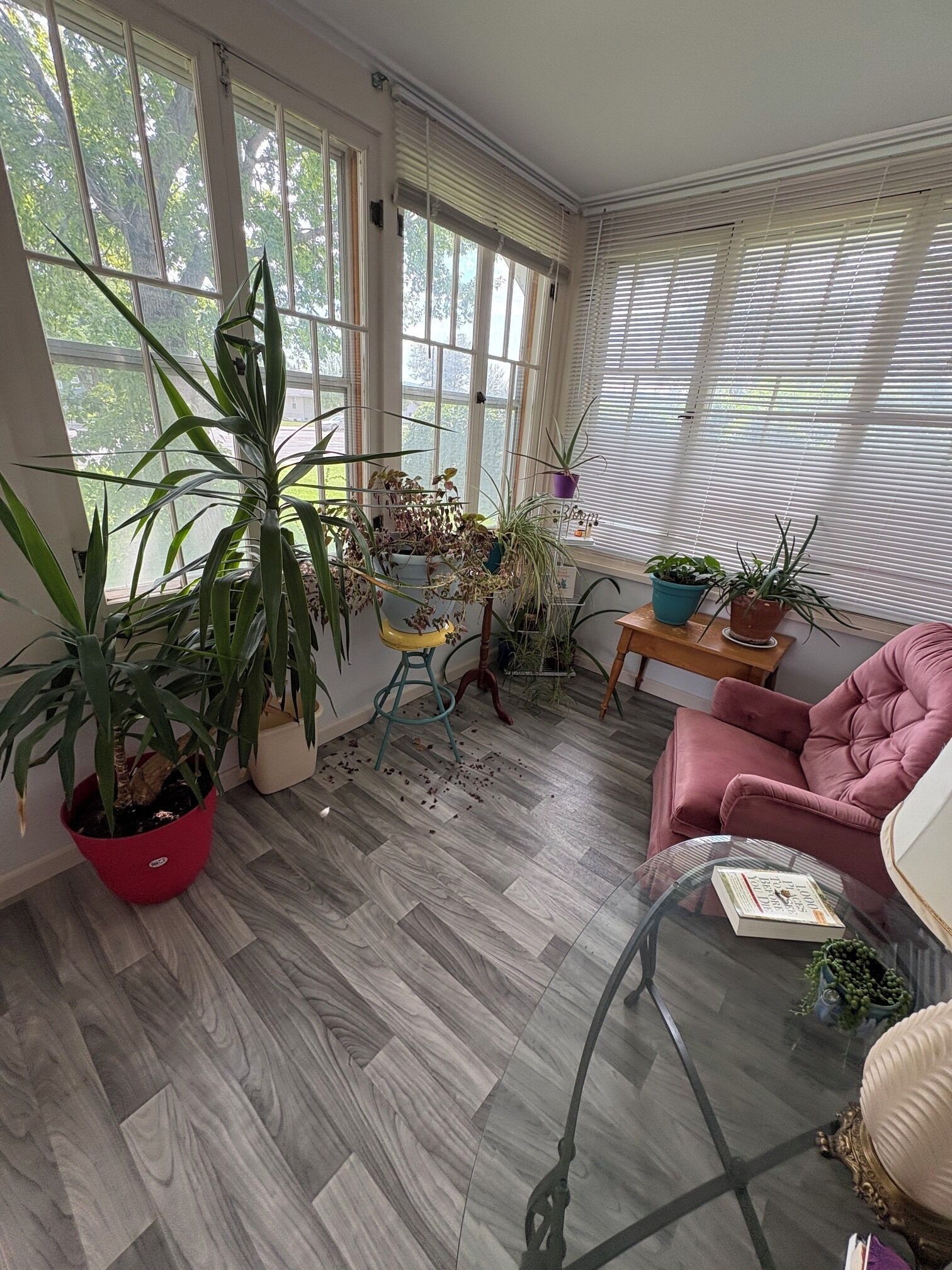 Intérieur