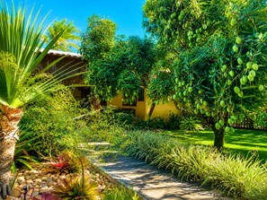 A lush garden with a variety of plants and a pathway leading to a building. - Luxury Villa on the Maraú Peninsula | 4 Suites • Heated Pool • Boat & More (Maraú)