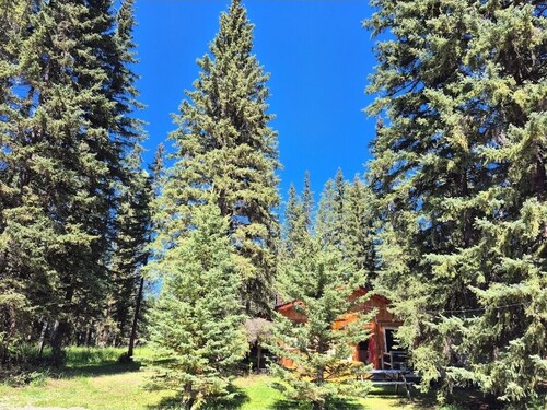 Cozy cabin- 115 private acres. Perfect for a relaxing getaway. Sled/quad in/out