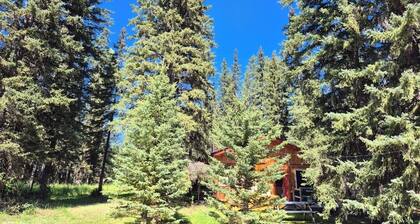 Cozy cabin- 115 private acres. Perfect for a relaxing getaway. Sled/quad in/out