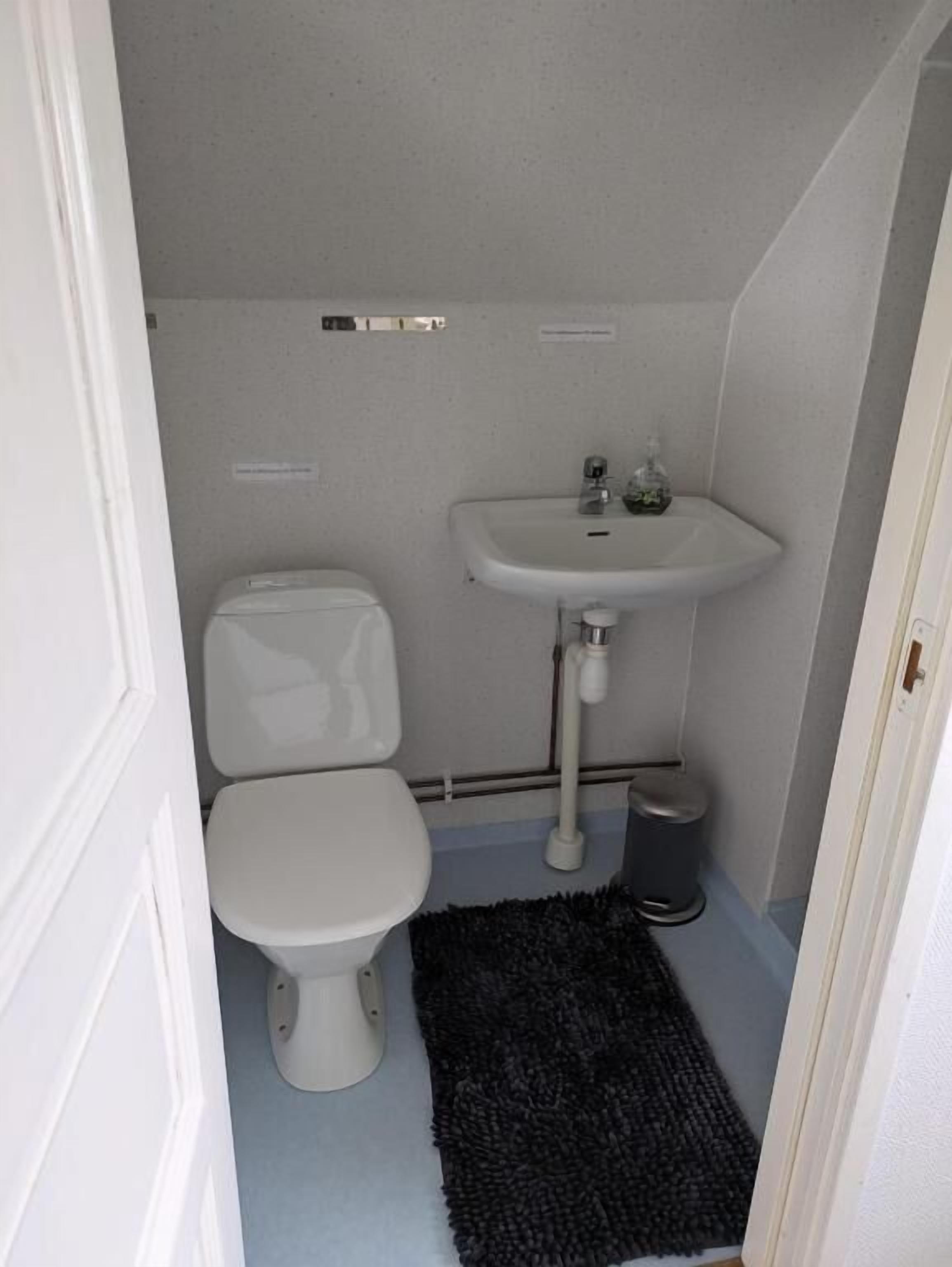 Een kleine badkamer met toilet, wastafel en een zwart vloerkleed.