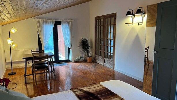 A room with a bed, a dining table with chairs, a potted plant, and a door with a light fixture.
