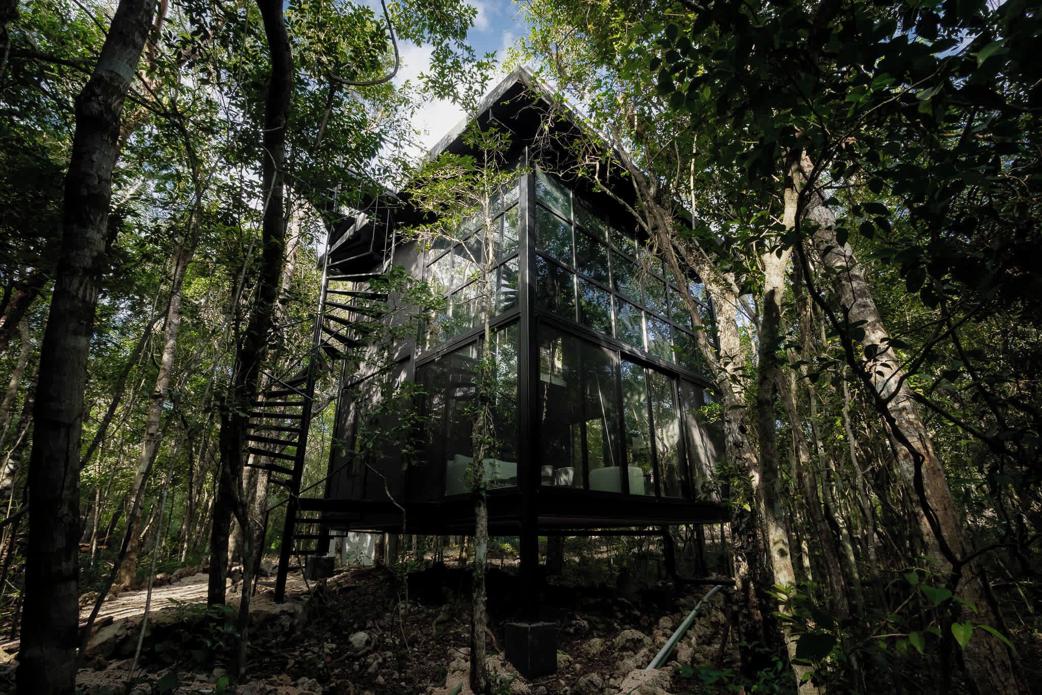 Una estructura de vidrio en un bosque, con una escalera metálica que lleva hacia ella.