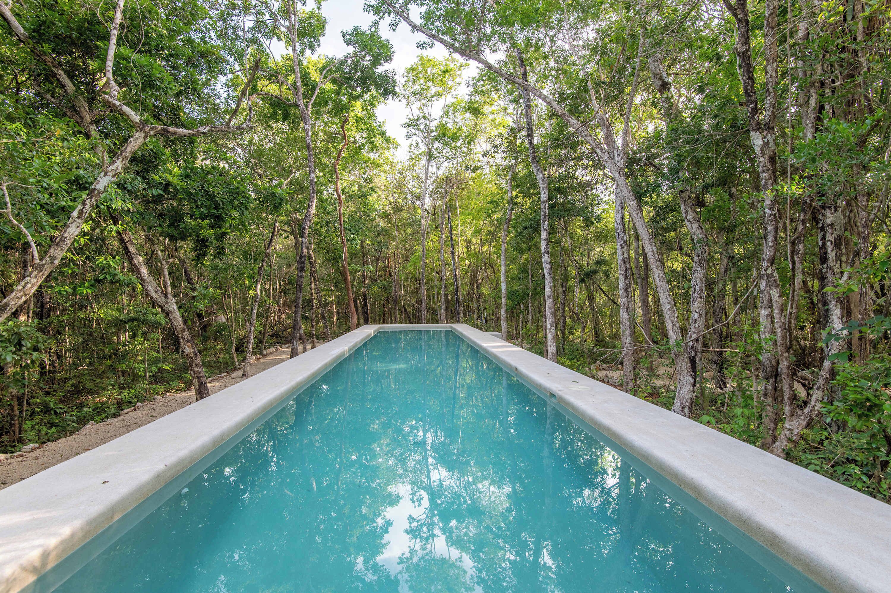A rectangular pool surrounded by dense forest.