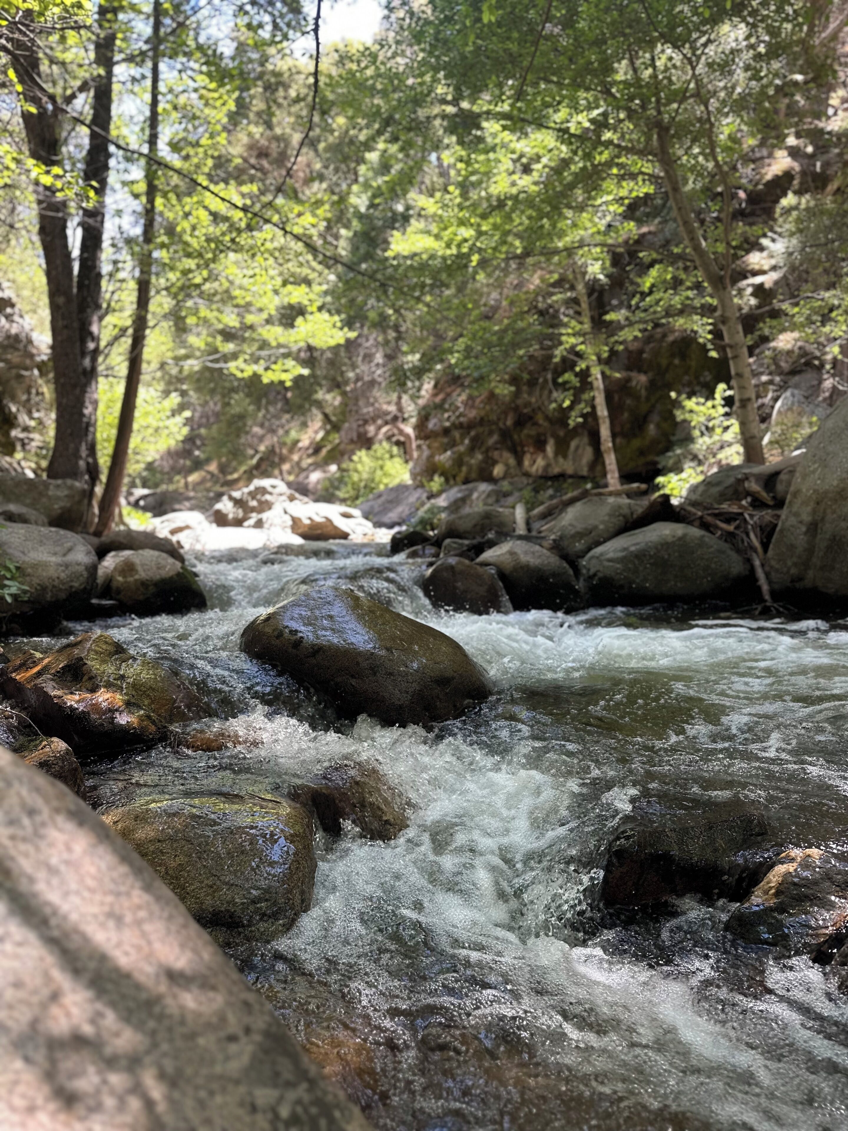 A river flowing through a rocky terrain with large boulders and dense foliage.