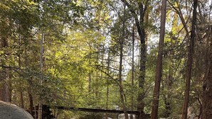 Um riacho em meio à floresta, com pedras e uma ponte de madeira.