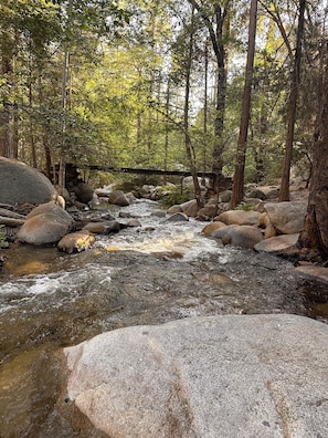 A forest stream with rocks and a wooden bridge.