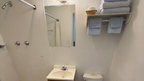 Un bagno con doccia, wc, lavandino e specchio.