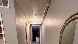 Un pasillo estrecho con suelo de madera, un tapete mullido y un espejo grande.
