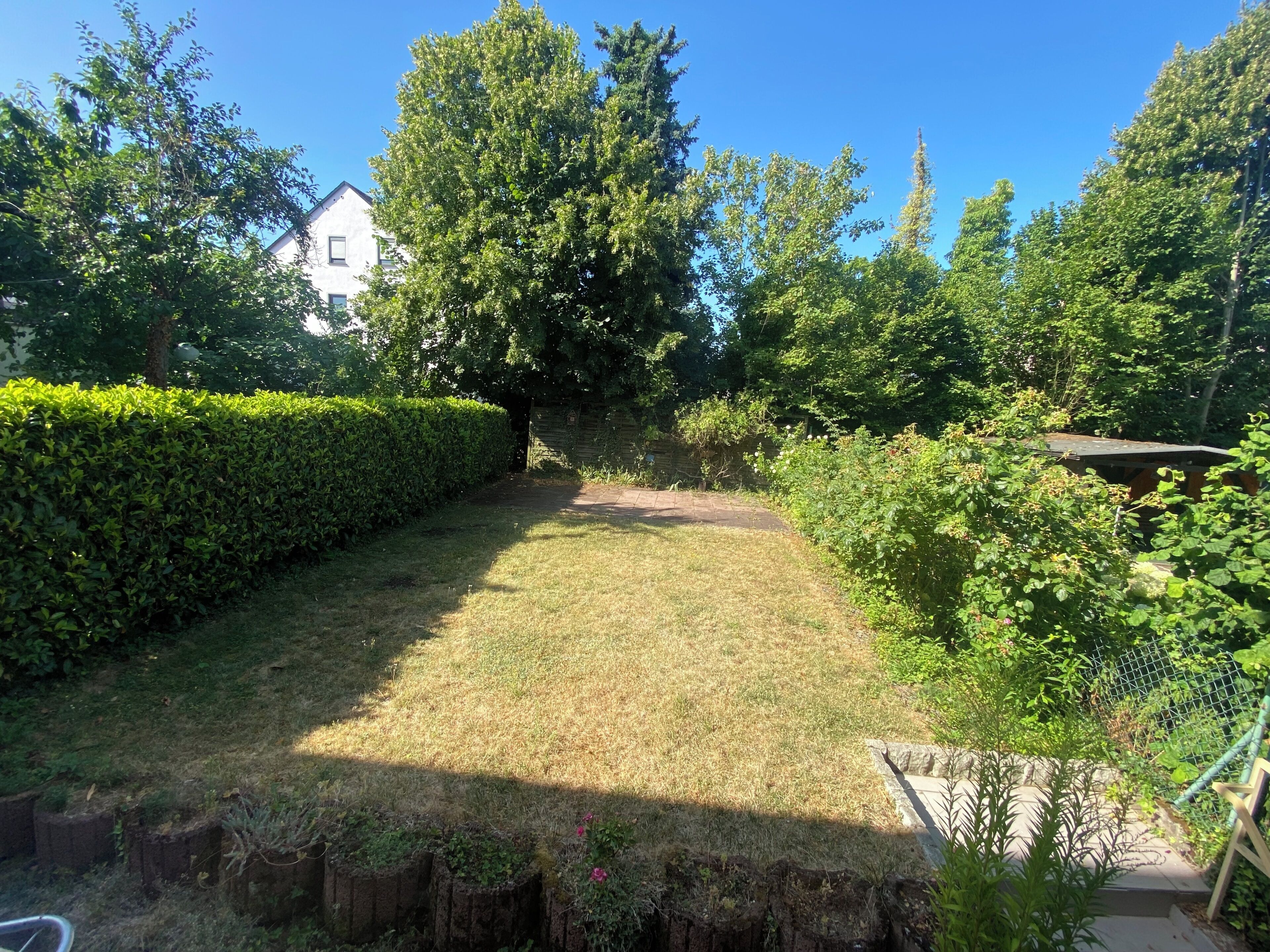 A garden with a lawn, a wooden fence, and a variety of plants.