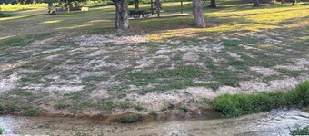 Cozy 1-bedroom cabin in serene Foxworth with AC. Sleeps 16