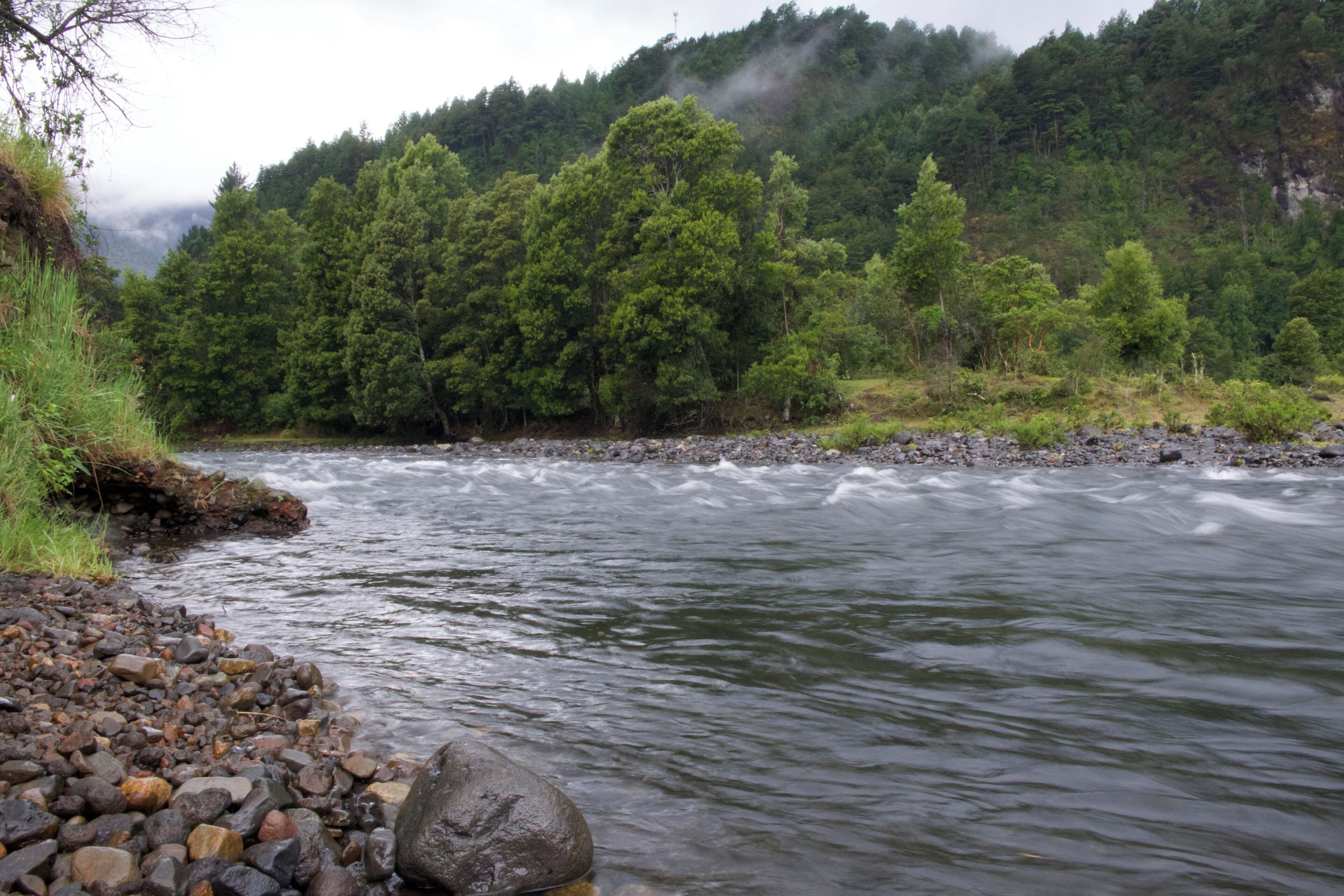 Un río serpentea por un área boscosa con una orilla rocosa.