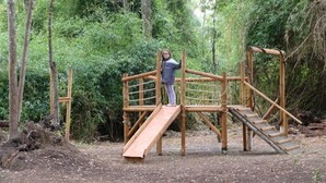 Eine hölzerne Spielgeräte-Konstruktion mit Rutsche und Treppe in einem bewaldeten Gebiet.