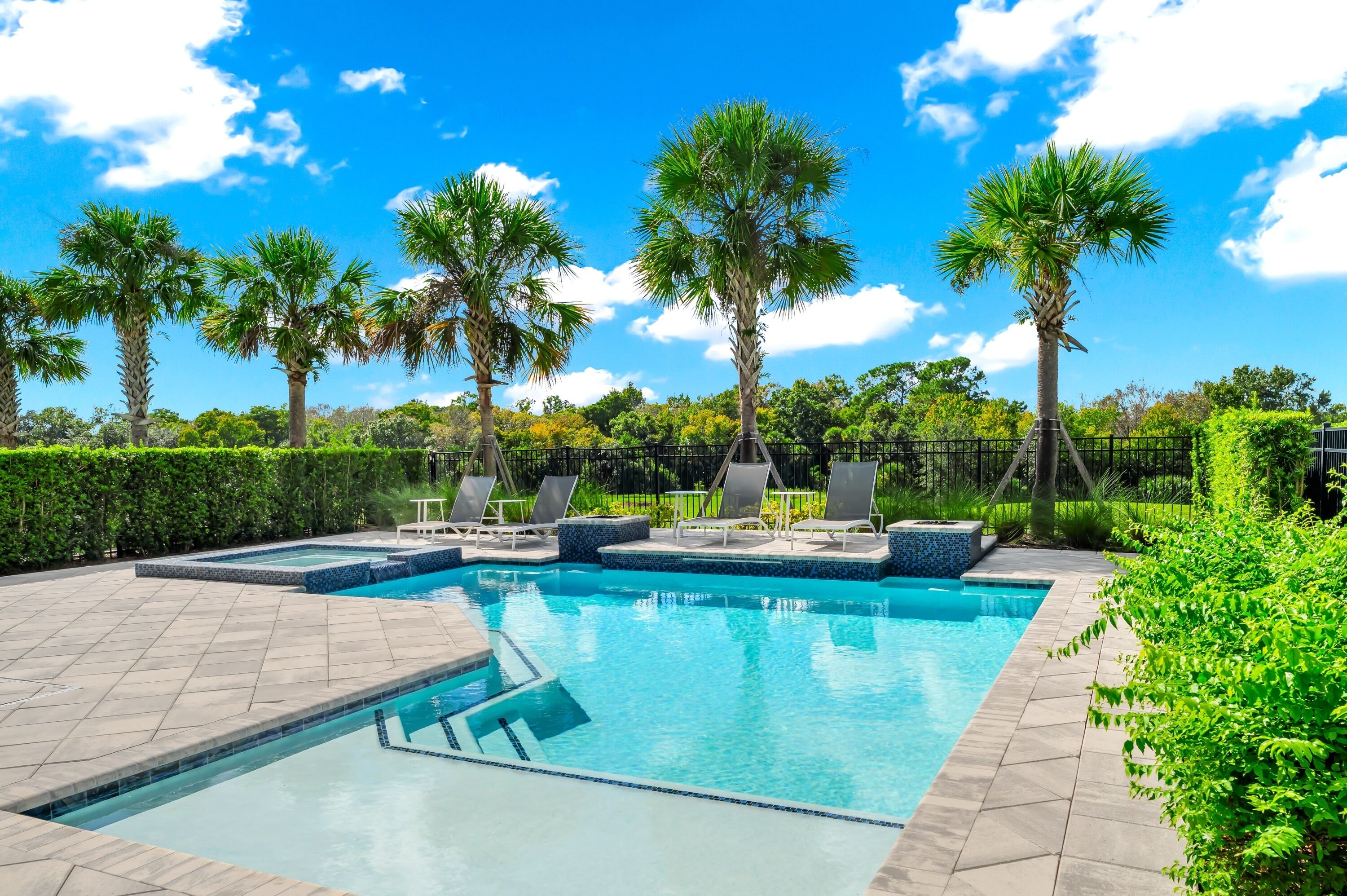A swimming pool with lounge chairs, palm trees, and a hedge.