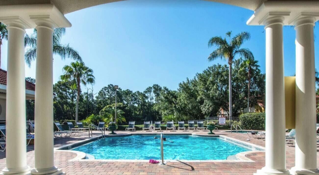 Une piscine avec des chaises longues et des palmiers en arrière-plan.