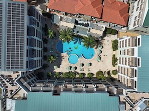Ein Pool auf dem Dach, umgeben von Palmen und Liegestühlen, mit Gebäuden im Hintergrund.