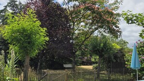 Ein von einer Hecke umgebener Garten mit verschiedenen Bäumen und einem blauen Sonnenschirm.