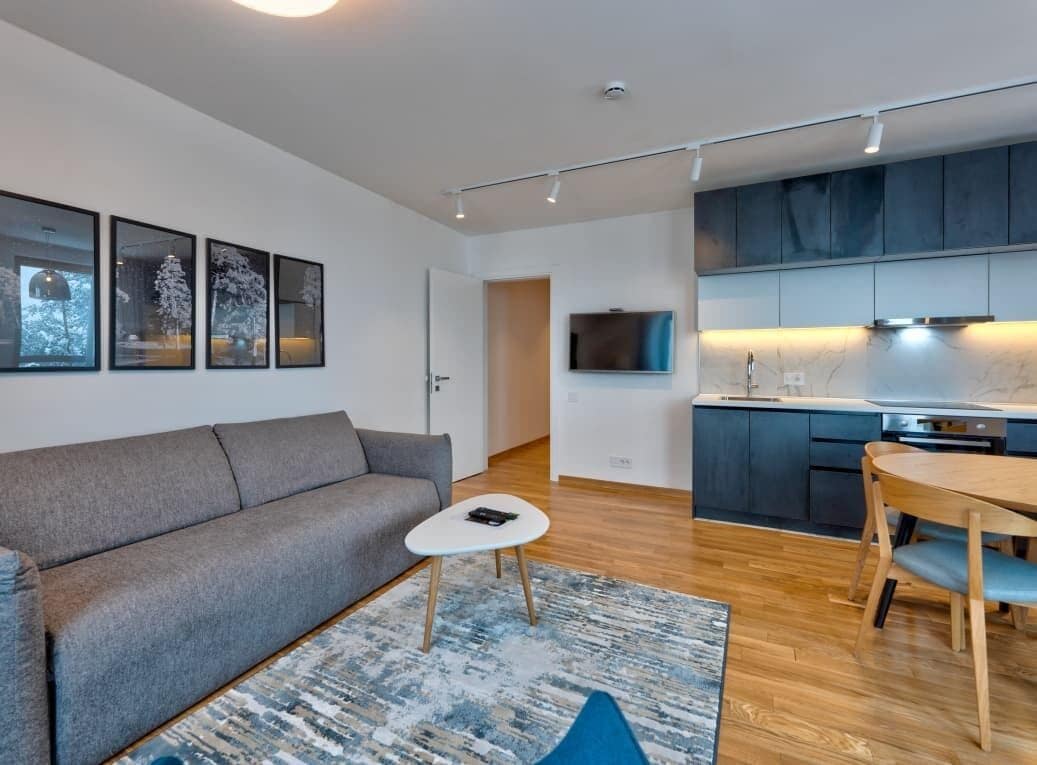 Superior Apartment | Living area | 49-inch Smart TV with digital channels, heated floors