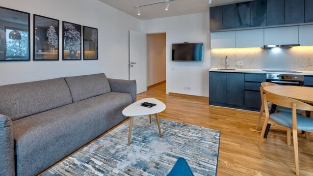 A modern living room with a grey sofa, a small white coffee table, and a blue rug.