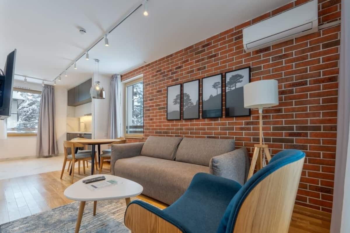 Standard Apartment | Living area | 49-inch Smart TV with digital channels, heated floors