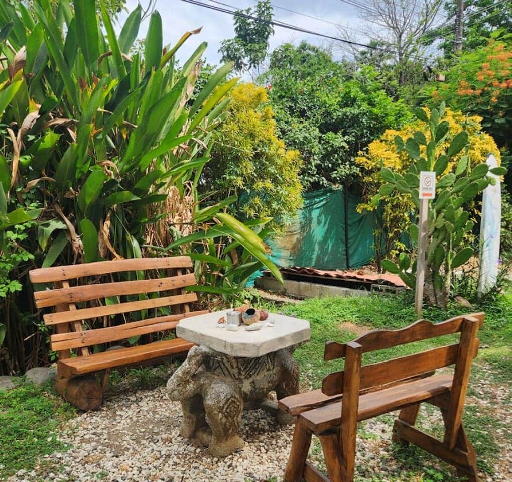 A garden with two wooden benches and a small table, surrounded by various plants and trees.
