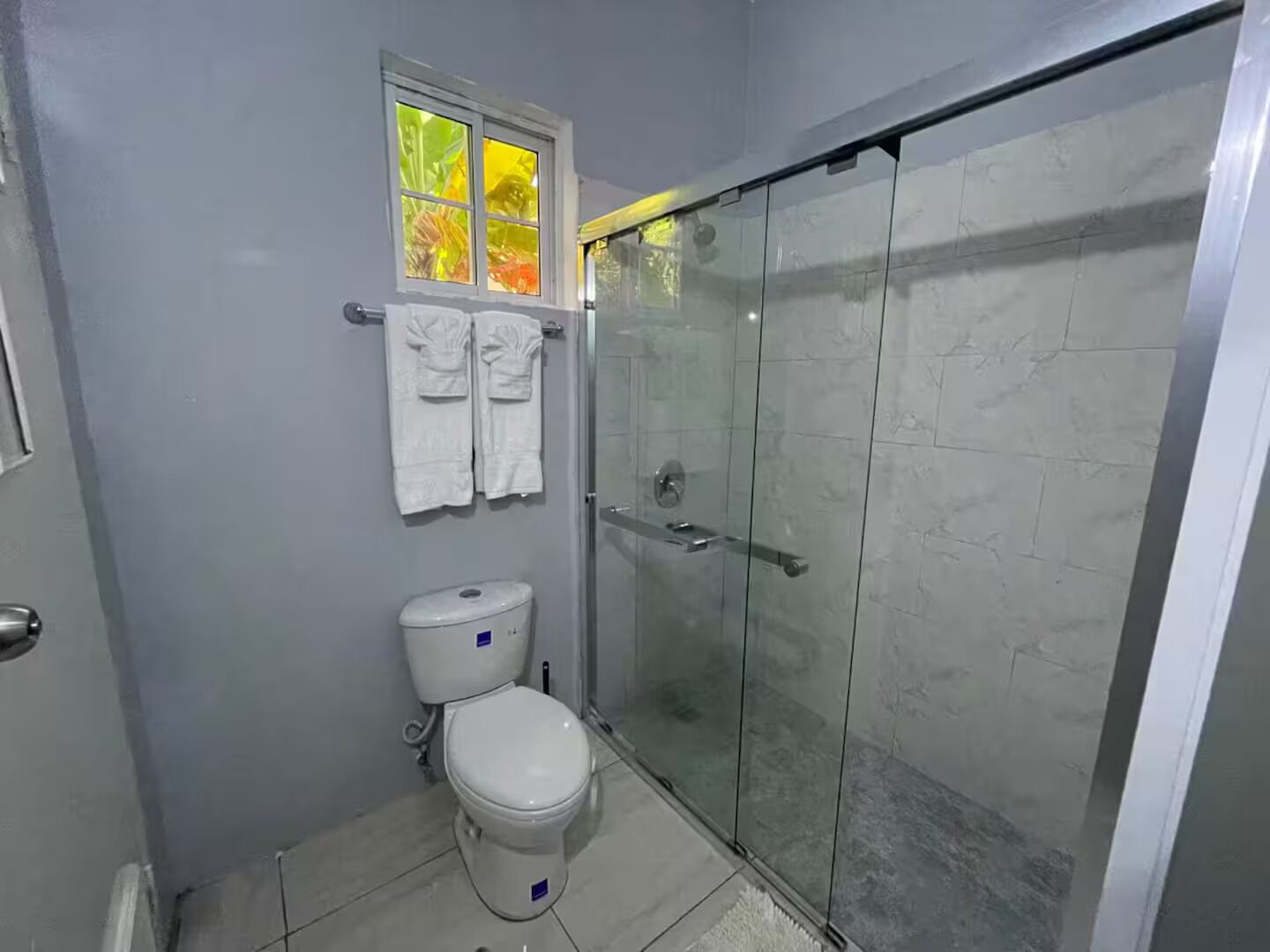 Shower, hair dryer
