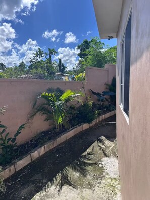 A narrow outdoor pathway with a concrete edge, surrounded by vegetation and a building with a window.